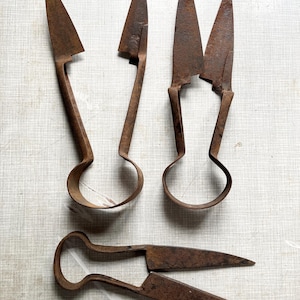 Puede incluir: Cuatro tijeras antiguas de metal oxidado con hojas puntiagudas y mangos en forma de lazo están dispuestas sobre una superficie clara. Las tijeras varían en tamaño y diseño, lo que sugiere diferentes usos. Las hojas muestran signos de edad y desgaste.