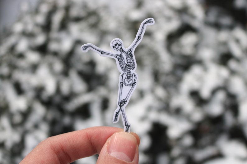 Op de afbeelding: Een zwart-witte skelet sticker met een reli&euml;f ontwerp, vastgehouden in een hand tegen een wazige achtergrond van met sneeuw bedekte takken.