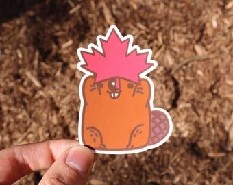 Beaver Holding Maple Leaf Sticker, Beaver Meme, Canadian True North Sticker Gift, Animal Water Resistant Cute Decals, Vinyl Laptop Stickers.