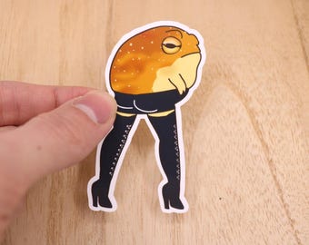 Sticker kikker babe, woestijnregenkikker, cadeau schoon meisje regenkikker, padstickers, grappige stickers, vinyl laptopstickers, sticker e-reader.