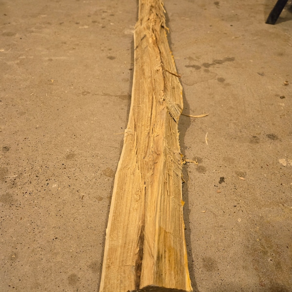 Black Locust Bow Stave