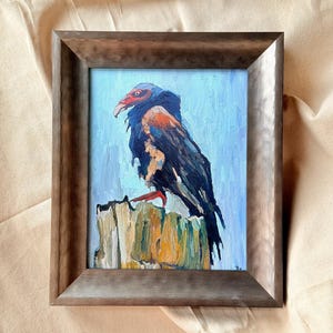 Stampa artistica di avvoltoio turco con fauna selvatica / Stampa artistica incorniciata di uccelli rapaci / Belle arti giclée per gli amanti della natura