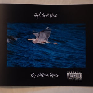 Puede incluir: Una portada de libro en blanco y negro titulada "High As A Bird" de William Mince. La portada presenta una foto de una garza gris volando sobre una masa de agua azul. La portada también incluye una etiqueta de advertencia para padres con el texto "Contenido explícito".