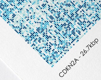 CDKN2A Gene Sequence Print, Oncology DNA Poster Molecular Biology Art Genetics art Cell Science Art Supervisor Scientist Gift A1/A2/A3/A4/A5