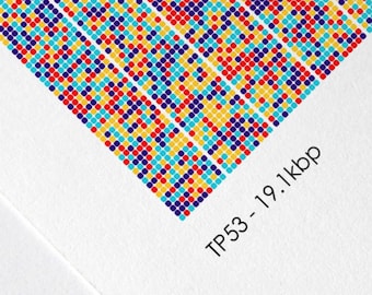 TP53 Gene Sequence Print, Breast Cancer DNA Poster, Scientist Gift, Molecular Biology Art, Genetics art, Science Art, A1/A2/A3/A4/A5