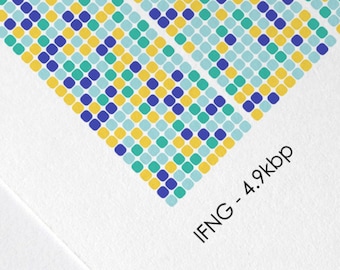 IFNG Gene Sequence Print, Immunology DNA Poster, Molecular Biology Art, Genetics art, Cell Science Art, Scientist Gift, A1/A2/A3/A4/A5