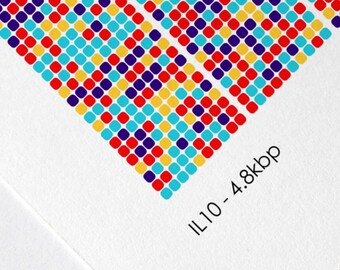 IL10 Gene Sequence Print, Immunology DNA Poster, Molecular Biology Art, Genetics art, Cell Science Art, Scientist Gift, A1/A2/A3/A4/A5