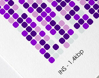 Insulin INS Gene Sequence Print Diabetes DNA Poster Scientist Gift Molecular Biology Art Medical Genetics Science Immunology Bioinformatics