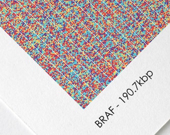 BRAF Gene Sequence Print, Oncology DNA Poster Molecular Biology Art Genetics art Cell Science Art, Supervisor Scientist Gift, A1/A2/A3/A4/A5