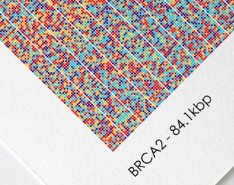 BRCA2 Gene Sequence Print, Breast Cancer DNA Poster, Scientist Gift, Molecular Biology Art, Genetics art, Science Art, A1/A2/A3/A4/A5