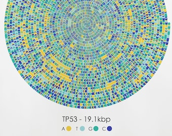 TP53 Gene Sequence Print, Spiral Breast Cancer DNA Poster, Scientist Gift, Molecular Biology Art, Genetics art, Science Art, A1/A2/A3/A4/A5