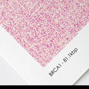 May include: Close-up of a white matte paper with a pink and white pixelated pattern. The text "BRCA1-81.1kbp" is printed on the paper. The text "PAPER QUALITY" is printed at the top of the image. The text "BIO PIXEL PRINTS" is printed at the top right of the image. The text "All Prints are printed on museum exhibition quality Fine Art Matte Paper using archival inks. The 240gsm weight and deep ink colour gives the print the perfect authentic, high quality feel." is printed at the bottom of the image.