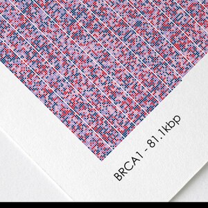 BRCA1 Gene Sequence Print Pink, Breast Cancer DNA Poster, Molecular Biology Art, Genetics art, Science Art, Scientist Gift, A1/A2/A3/A4/A5