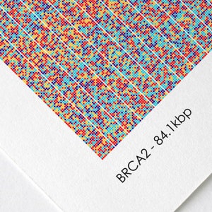 BRCA2 Gene Sequence Print, Breast Cancer DNA Poster, Scientist Gift, Molecular Biology Art, Genetics art, Science Art, A1/A2/A3/A4/A5