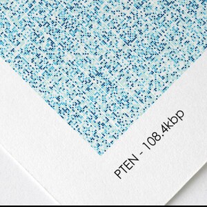 May include: A close-up of a white textured paper with a blue and white pixelated pattern. The text "PAPER QUALITY" is at the top of the image. The text "BIO PIXEL PRINTS" is in the upper right corner of the image. The text "PTEN - 108.4kbp" is in the lower right corner of the image. The text "All Prints are printed on museum exhibition quality Fine Art Matte Paper using archival inks. The 240gsm weight and deep ink colour gives the print the perfect authentic, high quality feel." is at the bottom of the image.