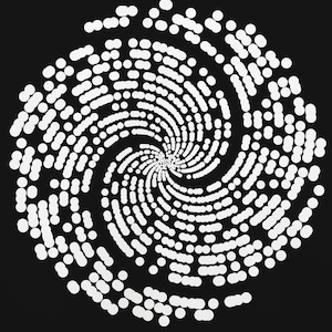 Può includere: Una stampa astratta in bianco e nero con un motivo a spirale di punti bianchi su uno sfondo nero.