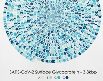 SARS-CoV-2 Spike Surface Glycoprotein Sequence Print COVID-19 DNA Poster Scientist Gift Molecular Biology Art Virus Genetics Art Science Art