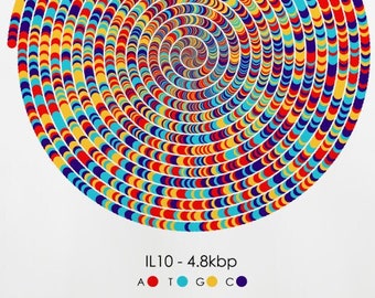 IL10 Gene Sequence Print, Spiral Immunology DNA Poster, Molecular Biology, Genetics art, Cell Science Art, Scientist Gift, A1/A2/A3/A4/A5