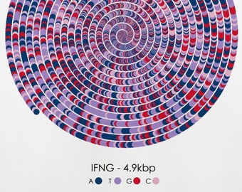 IFNG Gene Sequence Print, Spiral Immunology DNA Poster, Molecular Biology Art Genetics art, Cell Science Art, Scientist Gift, A1/A2/A3/A4/A5