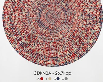 CDKN2A Gene Sequence Print, Spiral Oncology DNA Poster Molecular Biology Genetics art Cell Science Supervisor Scientist Gift A1/A2/A3/A4/A5