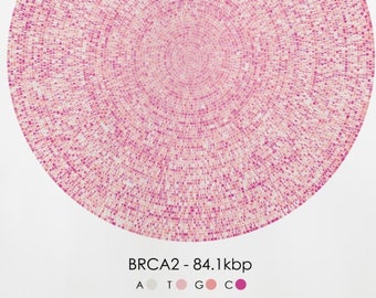BRCA2 Gene Sequence Print Spiral, Breast Cancer DNA Poster, Scientist Gift, Molecular Biology Art, Genetics art, Science Art, A1/A2/A3/A4/A5