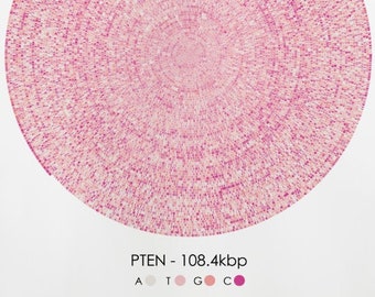 PTEN Gene Sequence Print, Breast Cancer Endometrial DNA Poster Scientist Gift Molecular Biology Art Genetics art Science Art, A1/A2/A3/A4/A5