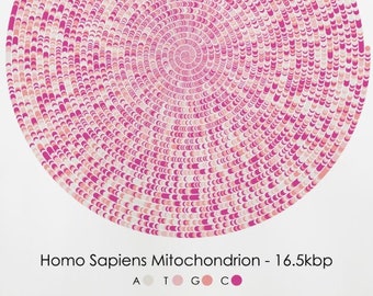 Mitochondria Gene Sequence Print Cell DNA Poster Scientist Gift Molecular Biology Art Medical Genetics Science Immunology Bioinformatics