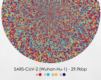 SARS-CoV-2 Genome Sequence Print, COVID-19 DNA Poster, Scientist Gift, Molecular Biology Art, Virus Genetics art, Science Art A1/A2/A3/A4/A5
