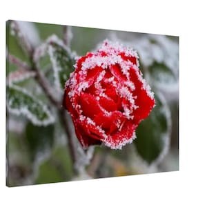 Personalized Custom Canvas Print - Your Image & Text on Durable Canvas
