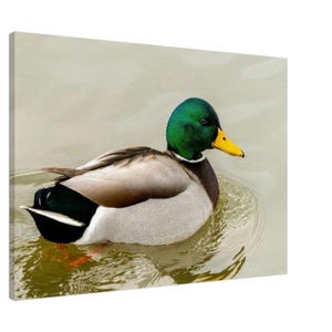 Personalized Custom Canvas Print – Your Image & Text, Premium Quality Art