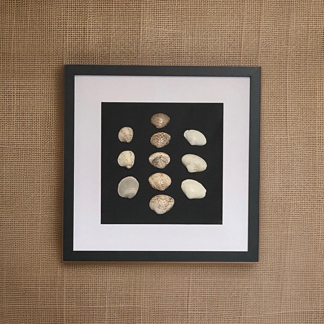Wave - Anna Maria Island & Siesta Key Shells on Black 10x10 Painted ...