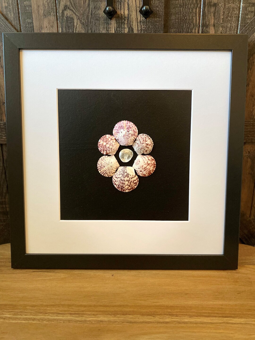 Moon Halo Anna Maria Island & Siesta Key Shells on Black 8x8 - Etsy