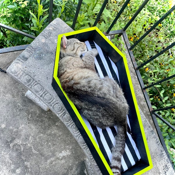 Coffin Cat Bed Etsy