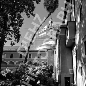 May include: Black and white photograph of a European street scene. A tall palm tree leans towards a domed building. Buildings line the cobblestone street, with a few trees and a lamp post. The image has a vintage feel.