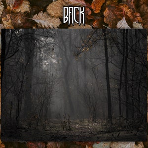 May include: A misty forest path with bare trees and a light fog. The path leads into the distance, disappearing into the fog.