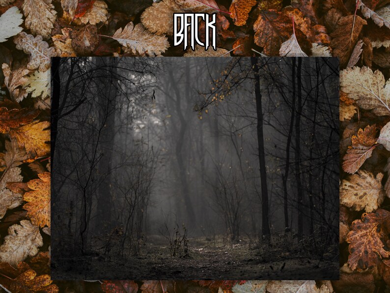 May include: A misty forest path with bare trees and a light fog. The path leads into the distance, disappearing into the fog.