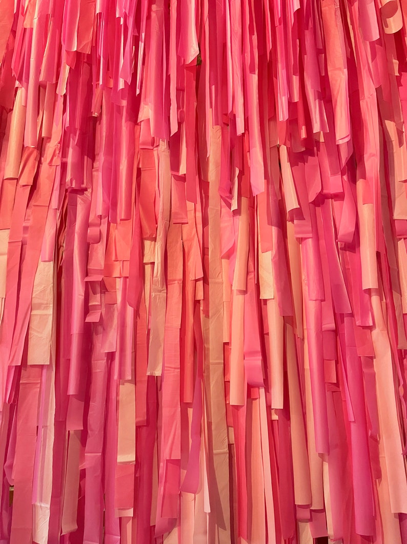 Streamer Wall Backdrop Wedding Photo Backdrop Streamer Wall Bach Party