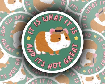It is What is it Vinyl Sticker