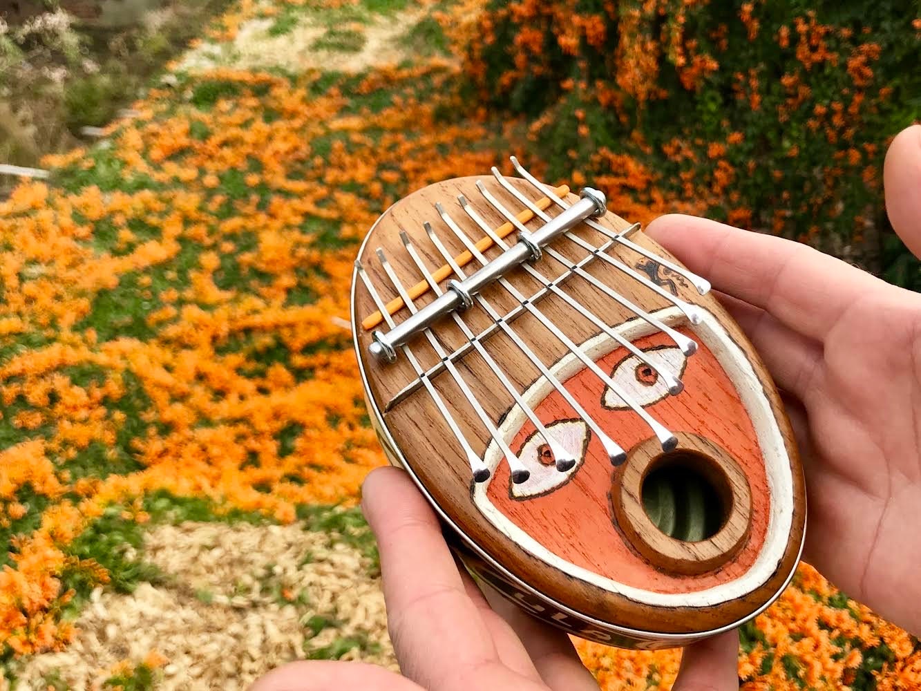Zenzula Regular Orange Etsy