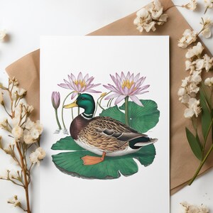 Watercolor Duck Clipart, Instant Download Sublimation Design, Nature Clip Art, Vintage Mallard Duck Waterlily Clipart, Digital Wallart