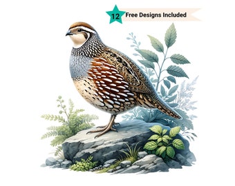 Quail Clipart, Quail Png, Bird Art, Wildlife Png, Bird Lover Gift, Bird Shirt Png, Quail Silhouette, Farm Animal Images, Farm Clipart