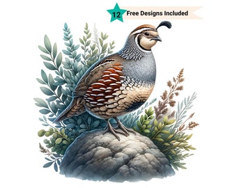 Quail Clipart, Quail Png, Bird Art, Wildlife Png, Bird Lover Gift, Bird Shirt Png, Quail Silhouette, Farm Animal Images, Farm Clipart