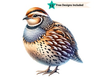Quail Clipart, Quail Png, Bird Art, Wildlife Png, Bird Lover Gift, Bird Shirt Png, Quail Silhouette, Farm Animal Images, Farm Clipart