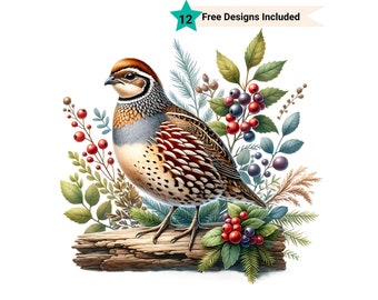 Quail Clipart, Quail Png, Bird Art, Wildlife Png, Bird Lover Gift, Bird Shirt Png, Quail Silhouette, Farm Animal Images, Farm Clipart