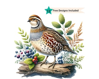 Quail Clipart, Quail Png, Bird Art, Wildlife Png, Bird Lover Gift, Bird Shirt Png, Quail Silhouette, Farm Animal Images, Farm Clipart