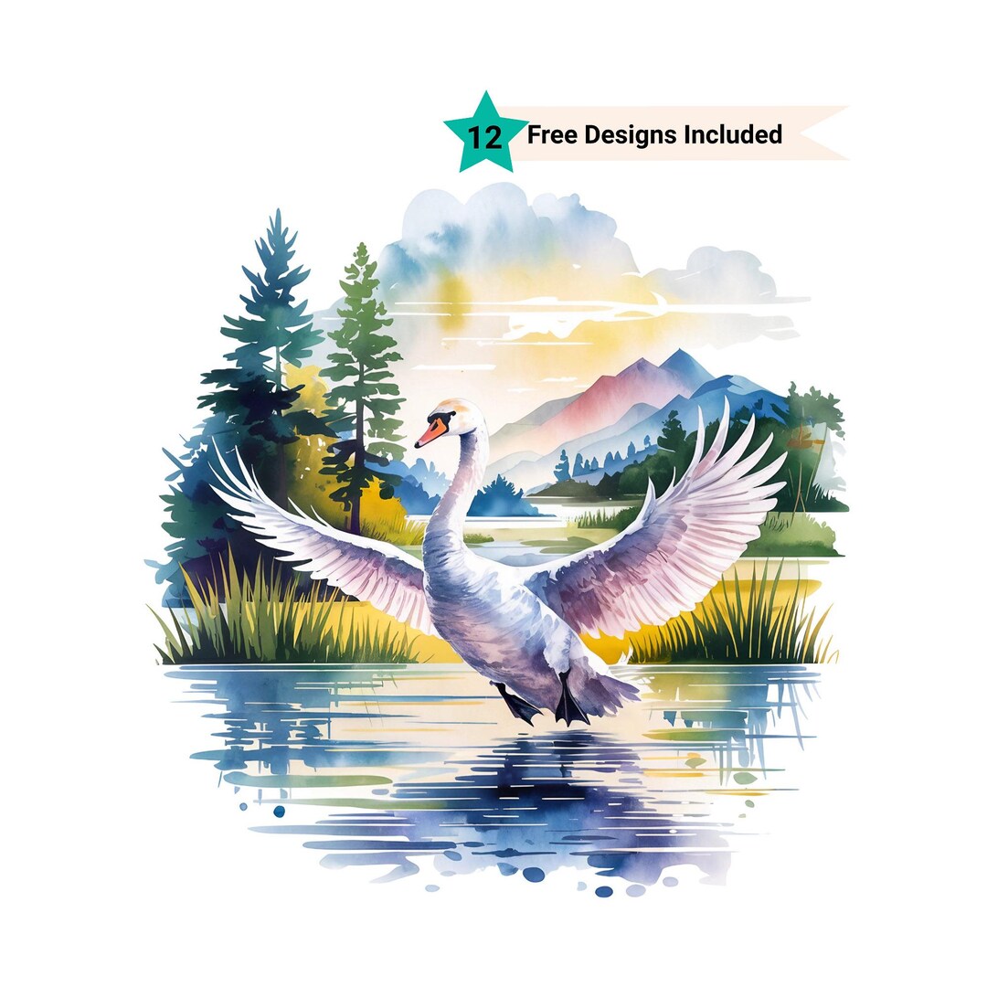 Watercolor Swan Clipart, Wedding Clipart PNG Digital Illustration, for ...