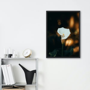 Fine Art - Flower From Magnolia Gardens | Photo Print | Digital Print | Framed |