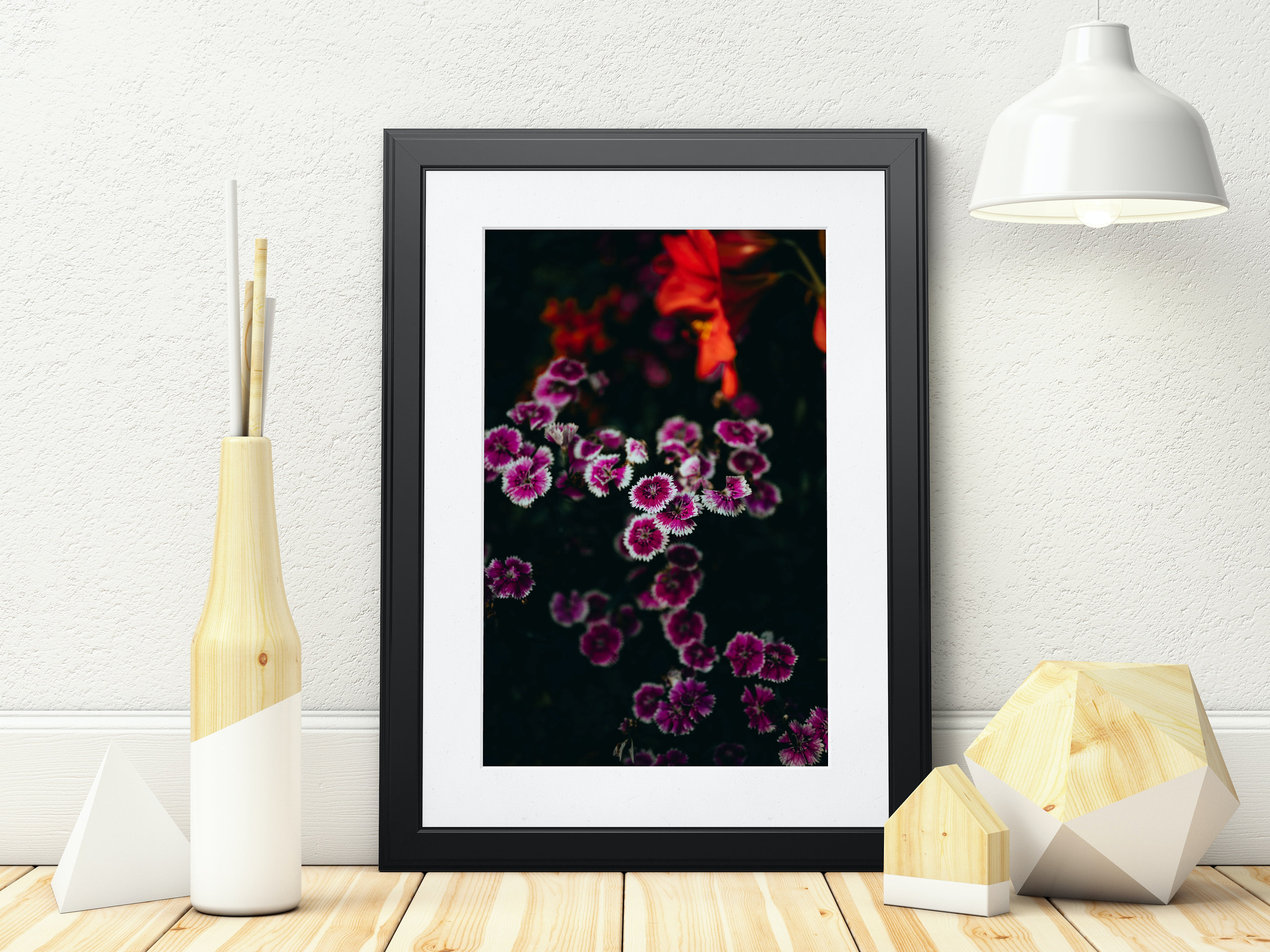 Fine Art - Dianthus Barbatus | Wall Art | Magnolia Gardens | Charleston, SC