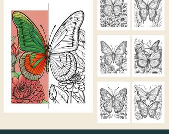 12 Printable Butterfly Coloring Pages, Garden Flowers, Open Wings, Daisies (PDF Download)