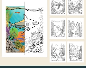 12 Printable Ocean Coloring Pages, Sea Turtle, Dolphin, Octopus, Shark (PDF Download)